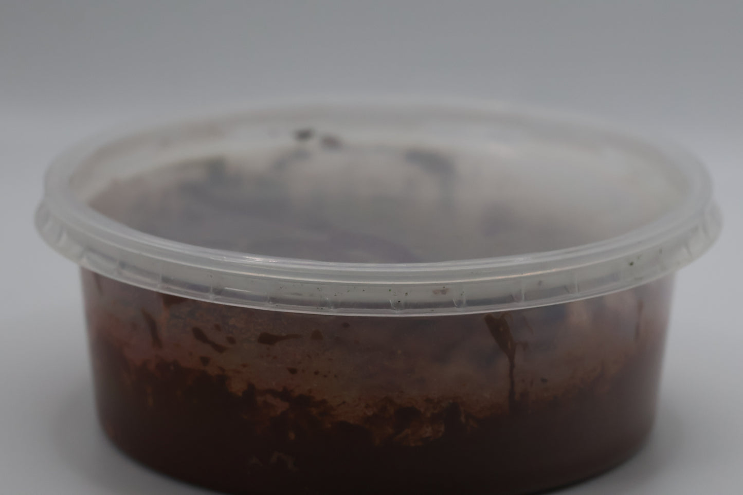 Clay springtail culture