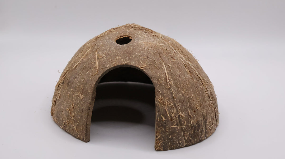 Coconut Hut
