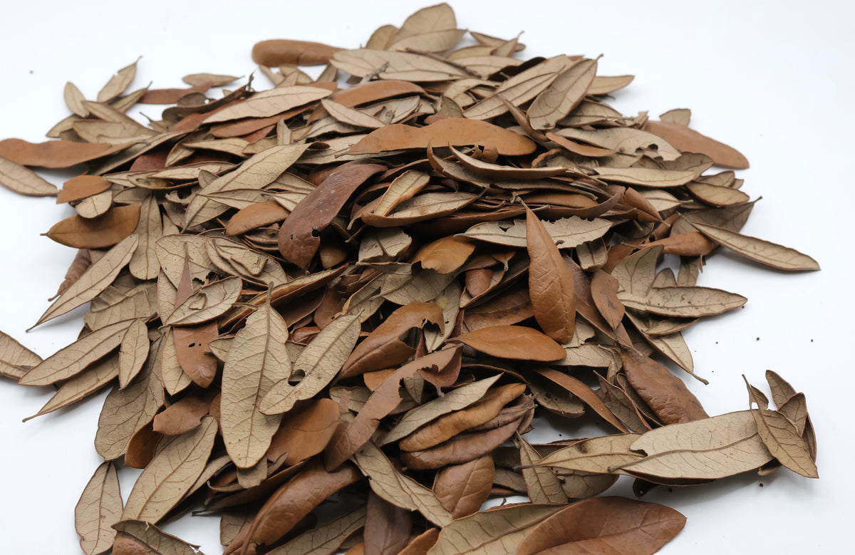 NewCal Live Oak Leaves - 1.5oz