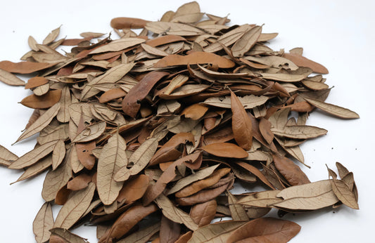NewCal Live Oak Leaves - 1.5oz