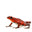 Atonii frogs and plants for sale canada logo