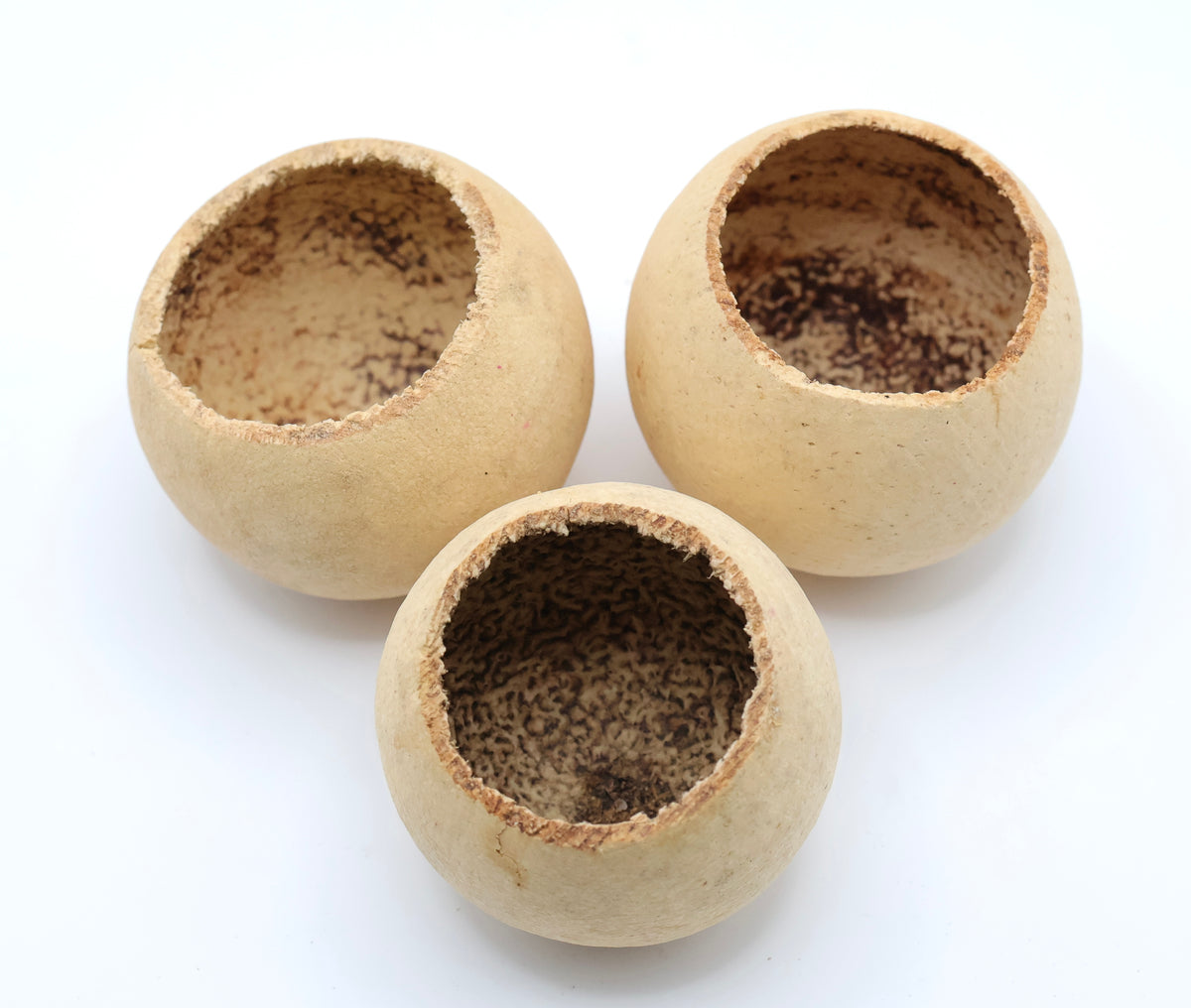 Newcal Bell Cups - 3 pack